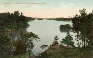 Forested islands in a large body of water.