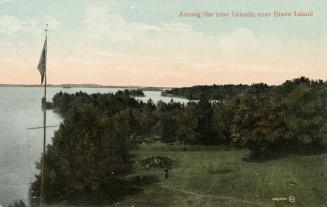 Islands in the middle of a river, Flag on a pole is in the left foreground.