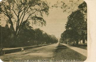 Black and white photograph of a wide, city street with trees on either side and down the median…