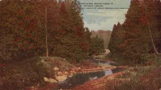 Colour postcard depicting a nature scene with a river winding through a forest. The caption at …