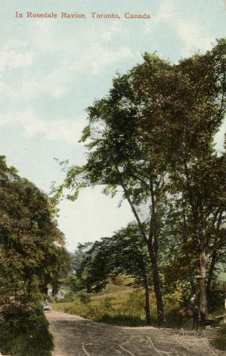 Colorized photograph of a path in a wooded area.