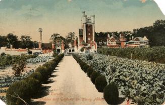 coloured photograph of brick and stone buildings in the background with rows of plants in the f…