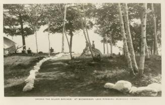 Black and white photograph of people sitting on a shoreline with birch trees in the foreground.…