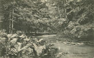 Black and white photograph of a narrow body of water running though a wooded area.