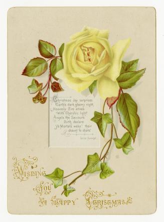 A yellow rose, its stem, and foliage are pictured alongside ivy leaves. The flower forms a part…