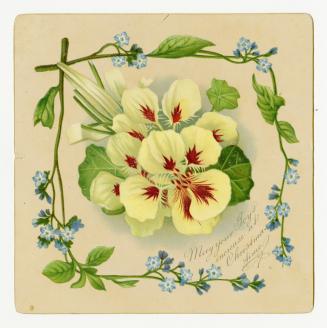 Yellow flowers with red centres are pictured in the middle of the card. They are surrounded by …