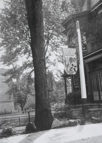 Photo of library building and large tree. 