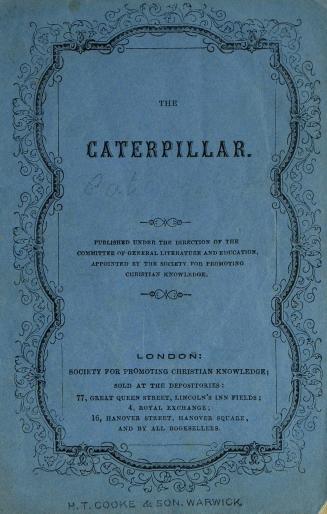 The caterpillar