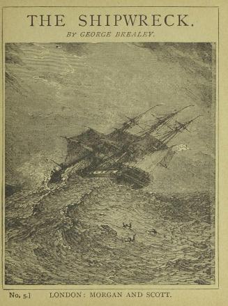 The shipwreck