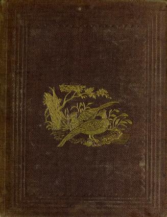 The juvenile naturalist, or, Walks in spring, summer, autumn, and winter