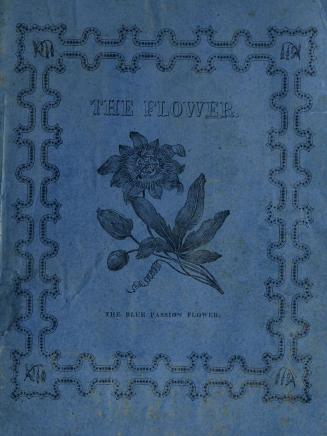 The flower