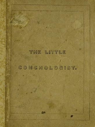 The little conchologist : an introduction to the classification of shells