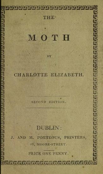 The moth