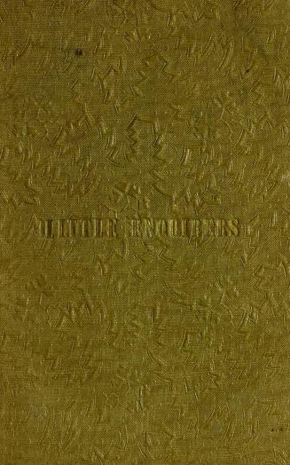 The little enquirers, or, Observations during a walk : on the subject of the animal, vegetable, and mineral kingdoms : intended for children