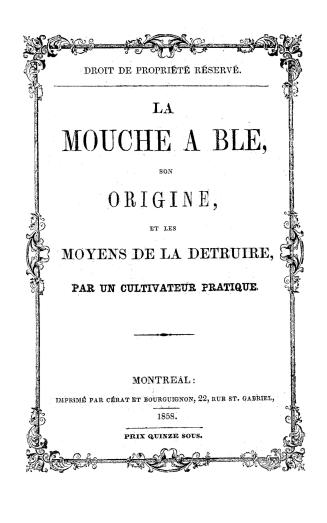 La mouche à blé, son origine et les moyens de la détruire