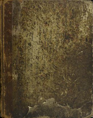 Book cover, unadorned