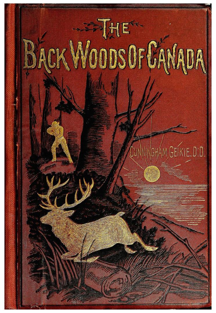 The backwoods of Canada