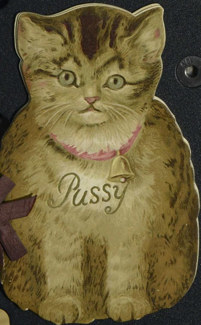 Pussy : Pussy's picture book