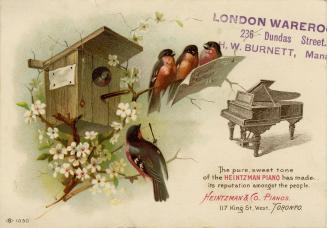 Whimsical illustration of bird house and a branch with white blossoms with three red-breasted m…