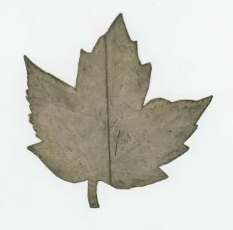 Maple leaf