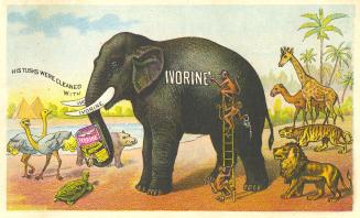 Ivorine elephant