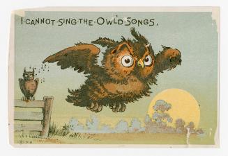 Colour card advertisement. Front of card depicts an illustration of an owl flying away from ano…