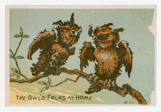 Colour card advertisement. Front of card depicts an illustration of two owls socializing. One o…