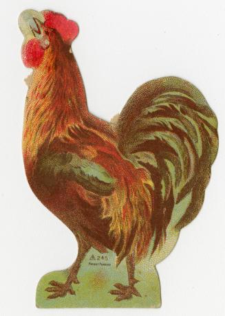 Colour trade card advertisement for Pure Gold Goods depicting an illustration of a rooster and …