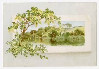 Colour trade card advertisement depicting a a nature scene of trees along a shoreline. There is…