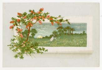 Colour trade card advertisement depicting a a nature scene of trees and a sun on the horizon. T…