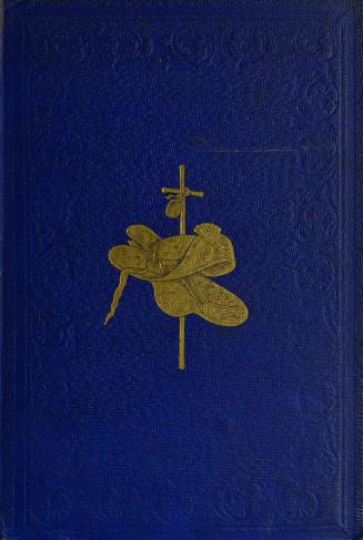 The pilgrim's progress : from this world to that which is to come : delivered under the similitude of a dream : wherein is discovered the manner of his setting out, his dangerous journey, and safe arrival at the desired country