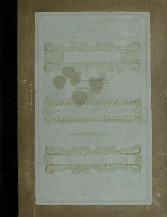 Brown book cover with white rectangle and gold text reading "Fairy birds from Fancy Islet a new…