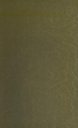 Book cover: green, holographic cloth.